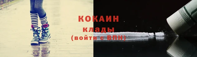 стафф Пересвет