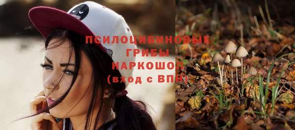 мет Абинск
