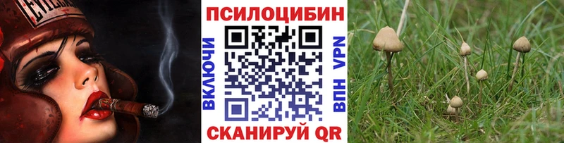 Псилоцибиновые грибы MAGIC MUSHROOMS  Агрыз 